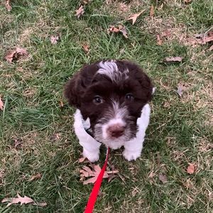 Meet your Posher, Kara